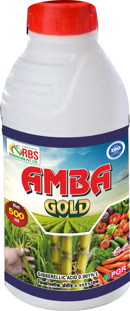 amba gold